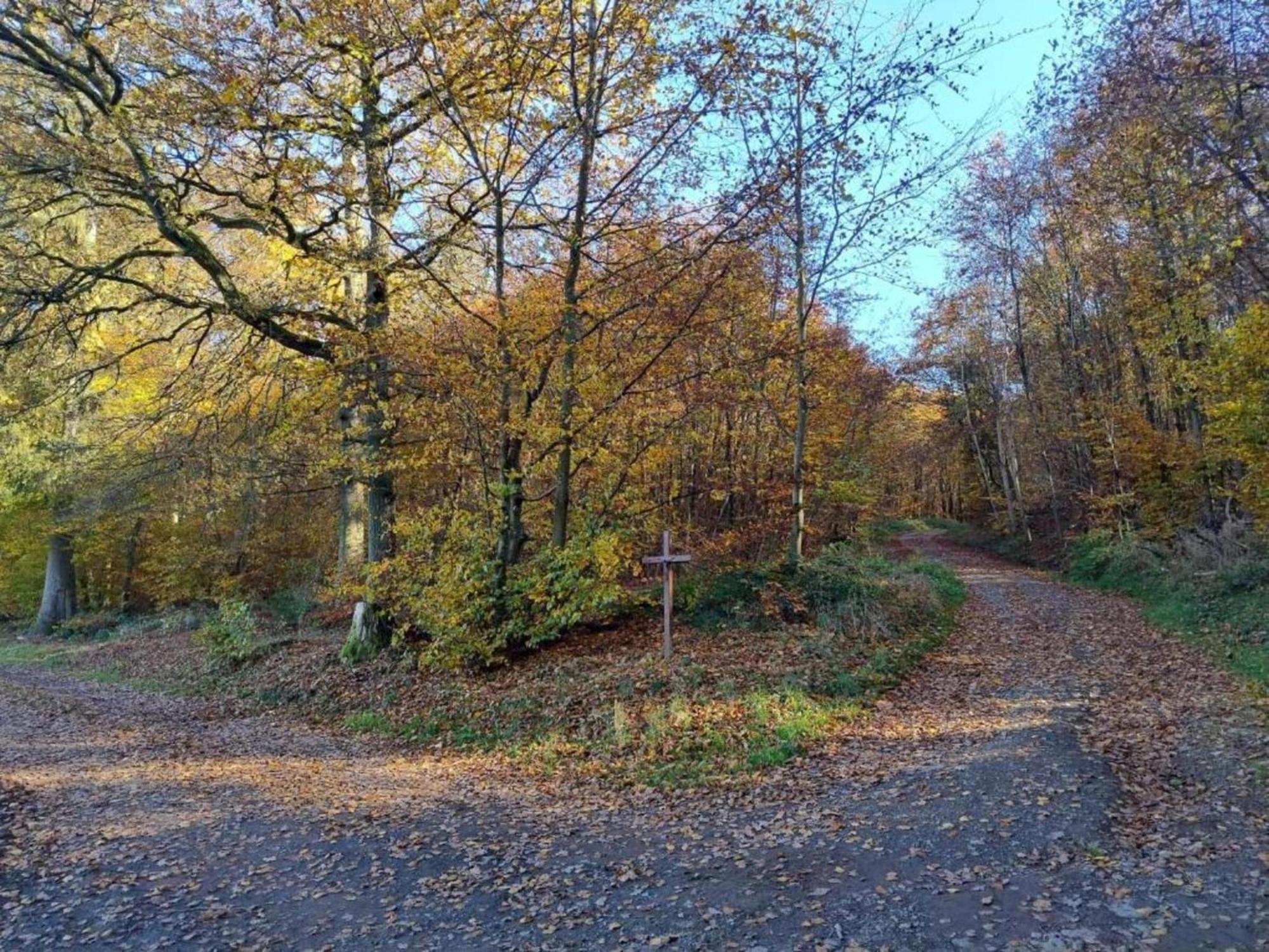 Apartment With Garden In A Wooded Setting Auw bei Prum Buitenkant foto