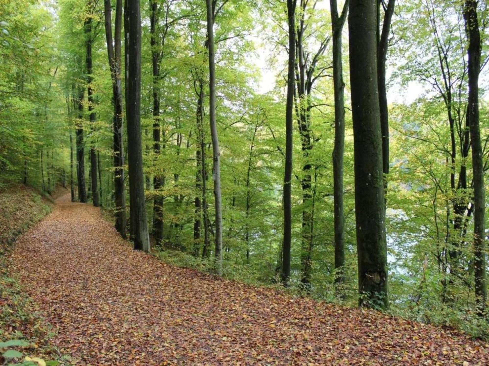 Apartment With Garden In A Wooded Setting Auw bei Prum Buitenkant foto